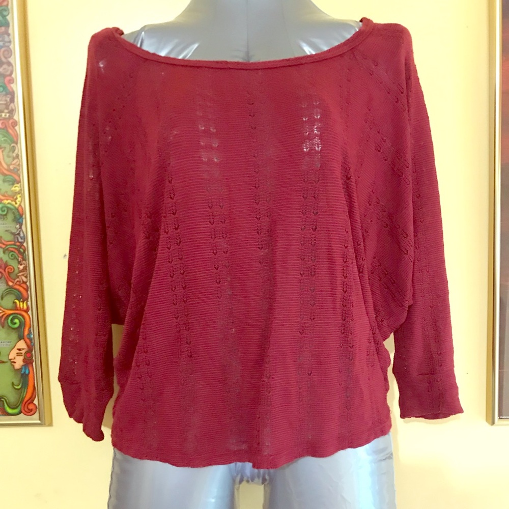 Lace knit V-Neck Top